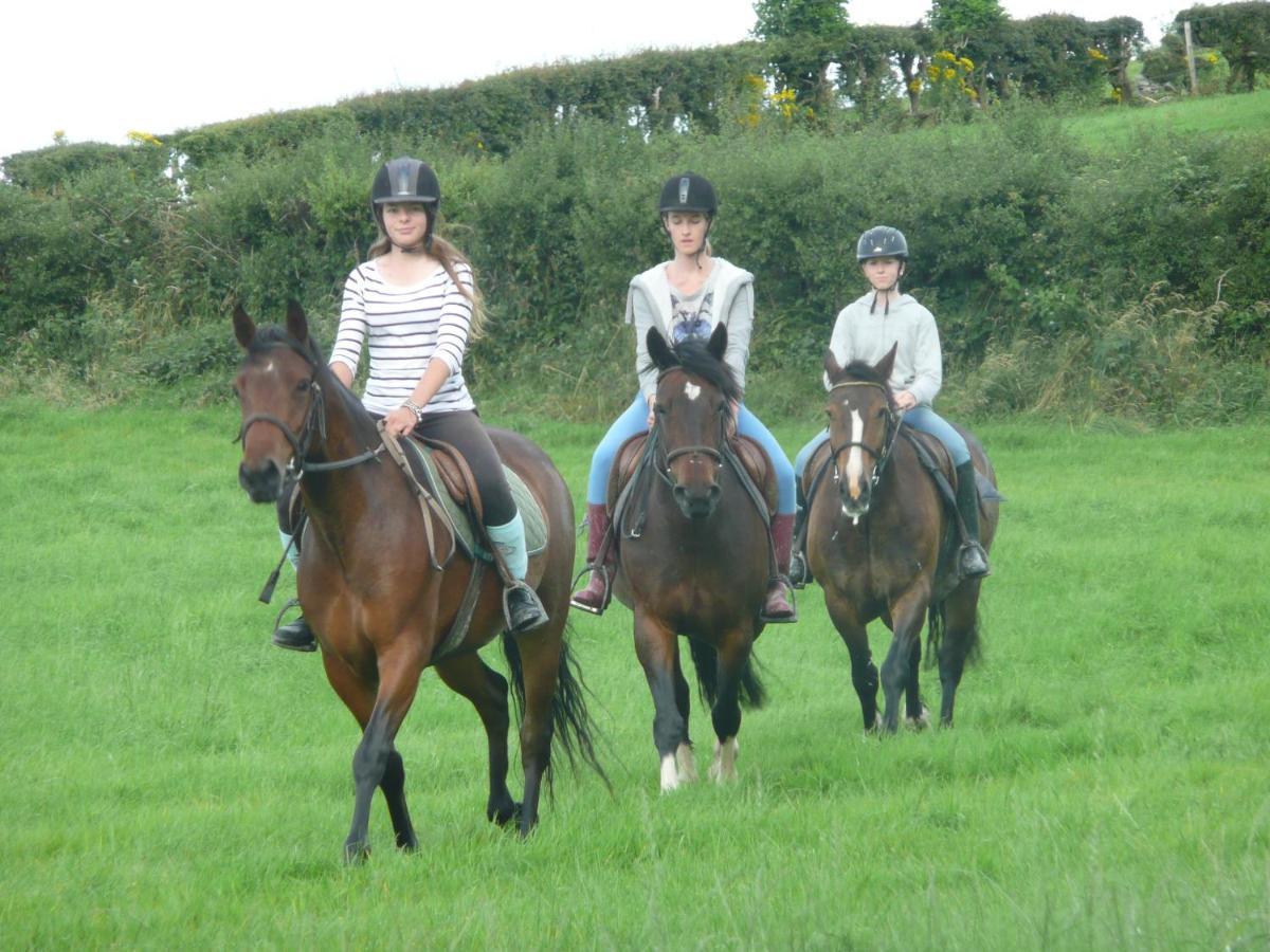 The Rock Equestrian Farm B&B Bailieborough Exterior photo