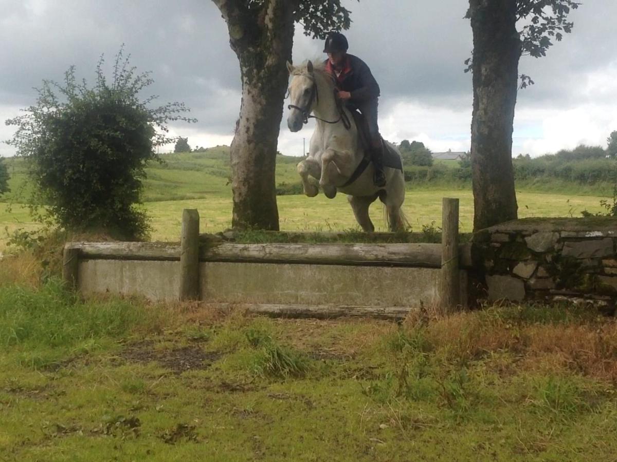 The Rock Equestrian Farm B&B Bailieborough Exterior photo